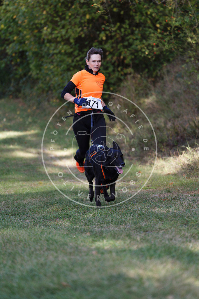 0L8A5361 | Hundefotografie, Tierfotograf, Pfotenfotografie, Fotoshooting Hund, Hunde Portrait, Hundesport, Hundeportraits, Heideshooting, Hunde, Sportfotograf, Hundefotograf, Turnierhundsport, THS,  - Realisiert mit Pictrs.com