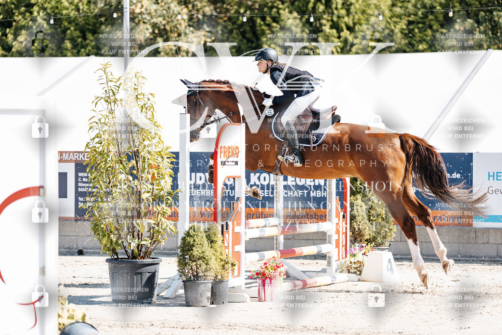 CK905211 | Turnierfotografie Pferdefotografie Trier Rheinland-Pfalz Pferdesport Reitsport Tierfotografie Sportfotografie Pferdevideo Pferdevideografie Equestrianvideography equestrianphotography  - Realisiert mit Pictrs.com