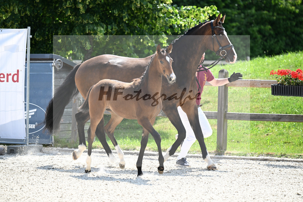 Kat-Nr. 36 Escaneno x Zoom_SF_Hofbauer_15251082 | hf-fotografie - Realisiert mit Pictrs.com