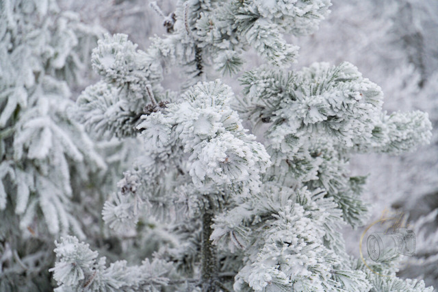 _DSC2010 | Shop für Prints Landschaftsfotografie Sächsische Schweiz Naturfotografie in Thüringen Fotos vom Findlingspark Nochten Kloster Sankt Marienstern Bilder Festung Königstein PanoramaRhododendronpark Kromlau FotogalerSchleswig-Holstein Küstenlandschaften