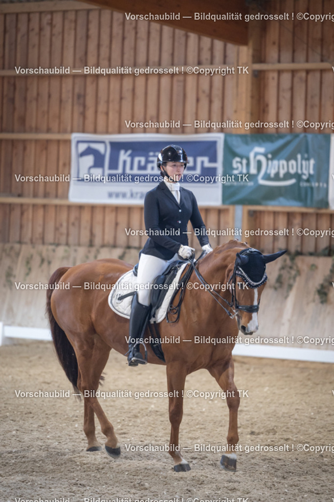 _D5A4904 | Emotionale Pferde- & People-Fotografie rund um Heidelberg, Leimen & Umgebung. Natürliche Fotos von Pferd, Mensch & Familie. Jetzt Termin sichern!