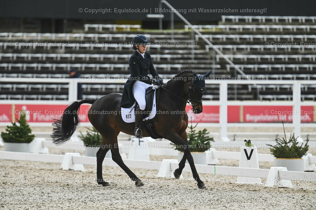 20230512_CCI4_Dressur_0290 | equistock