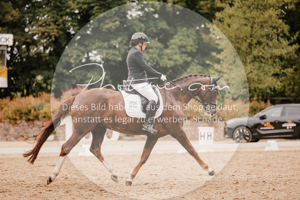 3I6A5872 | Stimmungsvolle Portraits und Reitsportfotografie im Ruhrgebiet und im Münsterland.

Pferdefotografie, Hundefotografie, Tierfotografie, Reportagen, Portraits von Tier und Mensch, Turnierfotografie in Bochum, Recklinghausen, Marl, Haltern am See, Dülmen.. - Realisiert mit Pictrs.com