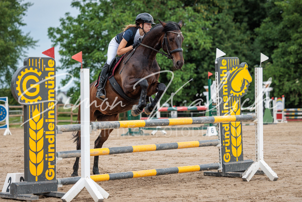 20260531-_3LI3302 | Tierfotografie Pferde, Hunde, Katzen, Haustiere.
Turnierfotografie Reitturniere, Reiten, Springreiten, Dressur in Hanau, dem Main-Kinzig-Kreis und dem Rhein-Main- Gebiet um Frankfurt