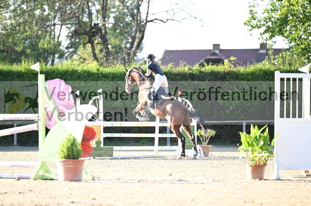 DSC_8920 | equestrian-live-com