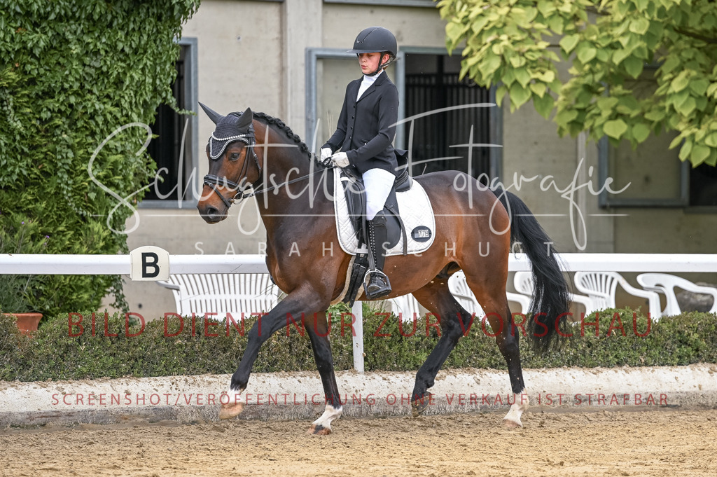 Schugtsche-Aluta25-43.EDressur -15 | Schugtsche Fotografie - Realisiert mit Pictrs.com