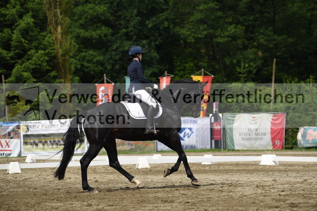 DSC_8443 | equestrian-live-com