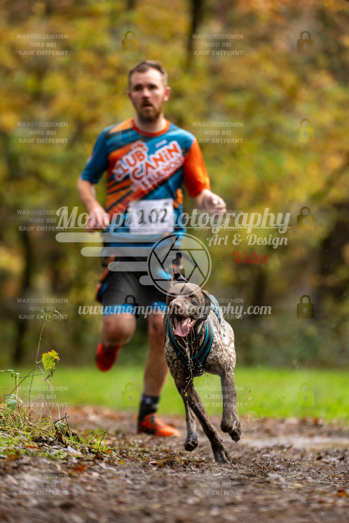 MompixPhotography_Bischwiller23_Canicross-47 | PayLife