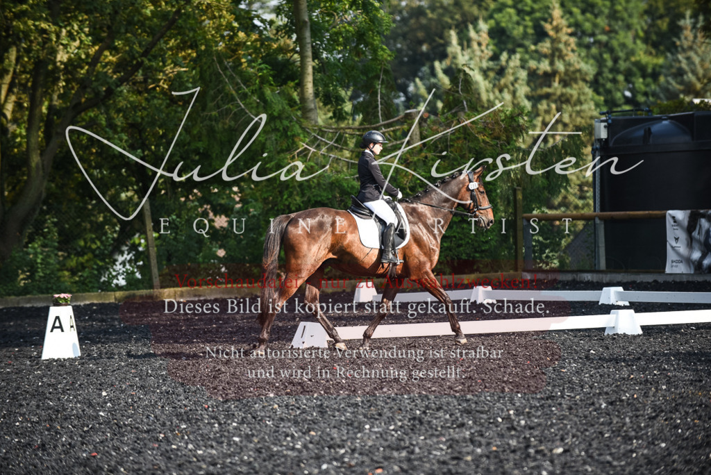 DSC_3281 | Pferde- und Turnierfotografie in Westsachsen. Pferdeportraits, Auftragszeichnungen und intuitive Kunst.