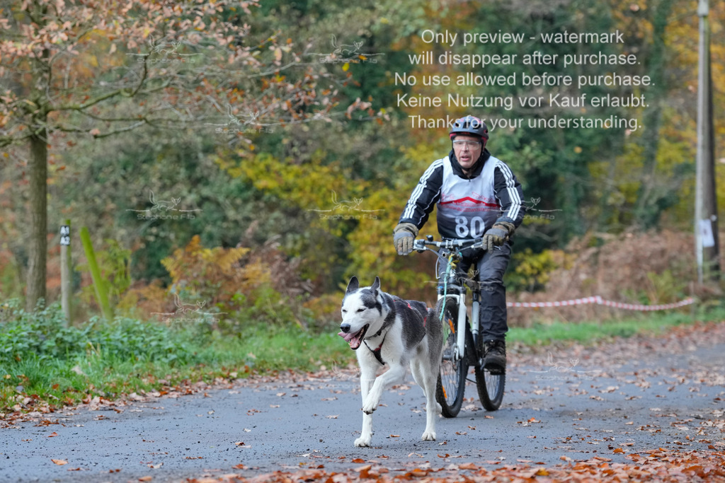 Bike_So-162 | stephaniefillaphotographie - Realisiert mit Pictrs.com
