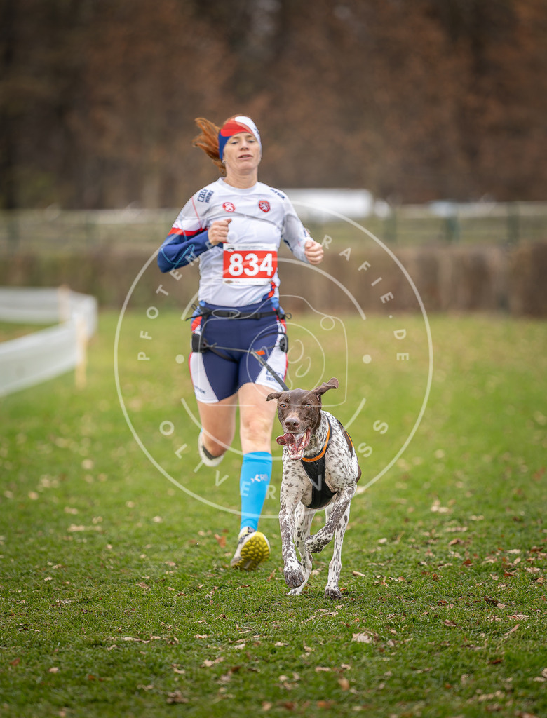CaniXpix_DV3A6405 | Hundefotografie, Tierfotograf, Pfotenfotografie, Fotoshooting Hund, Hunde Portrait, Hundesport, Hundeportraits, Heideshooting, Hunde, Sportfotograf, Hundefotograf, Turnierhundsport, THS,  - Realisiert mit Pictrs.com