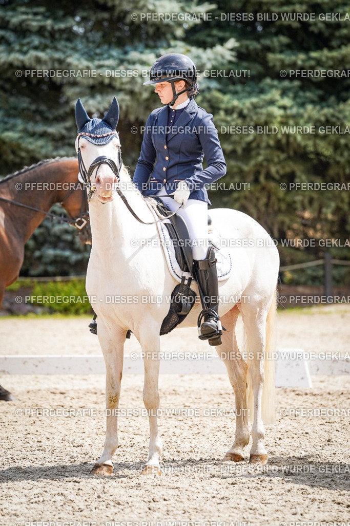 DSC02207 | Pferdegrafie