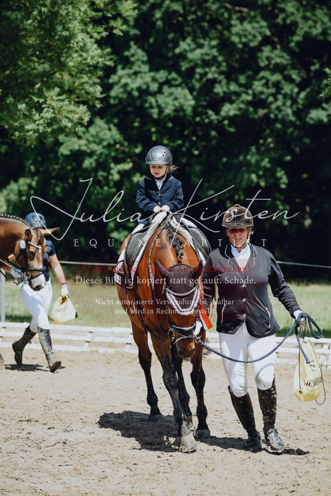 DSC_2715 | Pferde- und Turnierfotografie in Westsachsen. Pferdeportraits, Auftragszeichnungen und intuitive Kunst.
