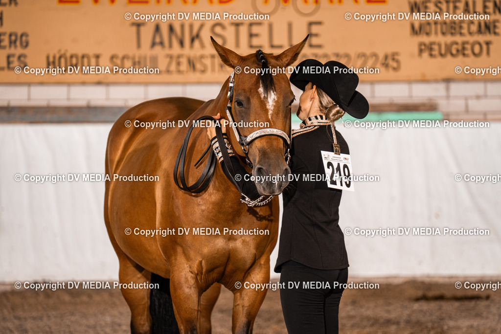 ZH100069 | dv-media-shop - Realisiert mit Pictrs.com