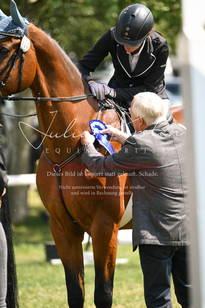 DSC_9181 | Pferde- und Turnierfotografie in Westsachsen. Pferdeportraits, Auftragszeichnungen und intuitive Kunst.