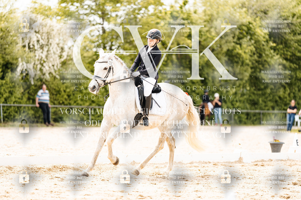 CK902553 | Turnierfotografie Pferdefotografie Trier Rheinland-Pfalz Pferdesport Reitsport Tierfotografie Sportfotografie Pferdevideo Pferdevideografie Equestrianvideography equestrianphotography  - Realisiert mit Pictrs.com