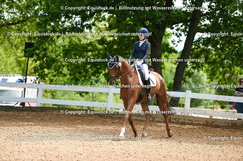 20230716_03_Dressurprfg. Kl.L - Tr._0333 | equistock