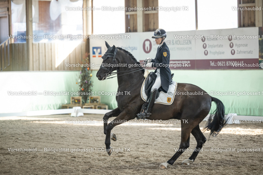 _D5A0305 | Emotionale Pferde- & People-Fotografie rund um Heidelberg, Leimen & Umgebung. Natürliche Fotos von Pferd, Mensch & Familie. Jetzt Termin sichern!