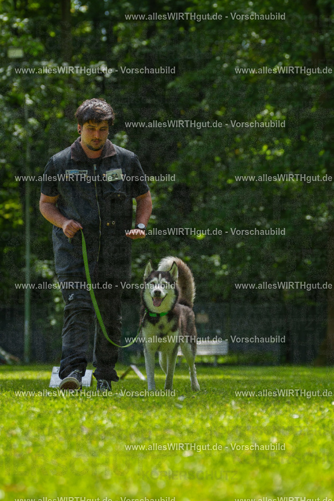 @allesWIRTHgut_Tierfotografie - www.allesWIRTHgut.de - 7R500930 | Professionelle Tierfotografie in Mönchengladbach von Daniel Wirth (allesWIRTHgut). Liebevolle & natürliche Bilder von Hunden & Katzen für unvergessliche Erinnerungen.