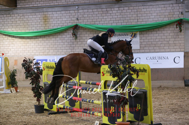 IMG_0837 | Deine Turnierfotos vom Reitturnier online kaufen: Dressur, Springen & Siegerehrung. Professionelle Pferdefotografie aus dem Rheinland – als Download & Print.Alternative: Turnierfotograf für den Pferdesport: Finde deine Fotos von Dressur- und Springturnier