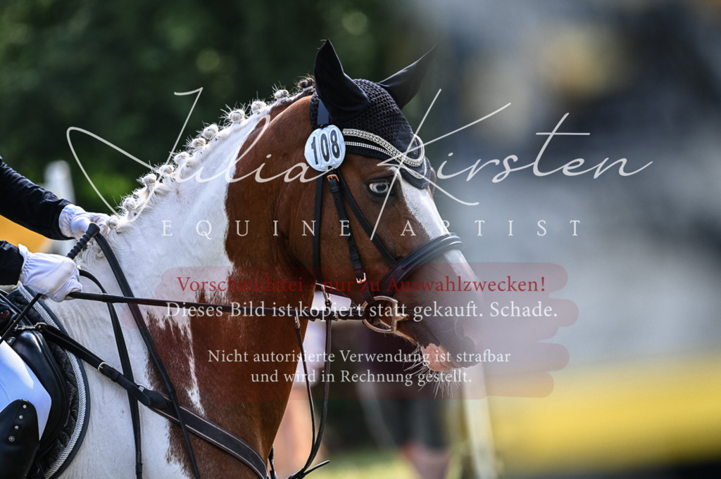 DSC_8535 | Pferde- und Turnierfotografie in Westsachsen. Pferdeportraits, Auftragszeichnungen und intuitive Kunst.