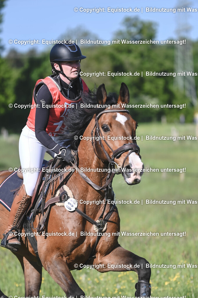 20250517_CCI2_Gelände_0441 | Foto: Thomas Hartig