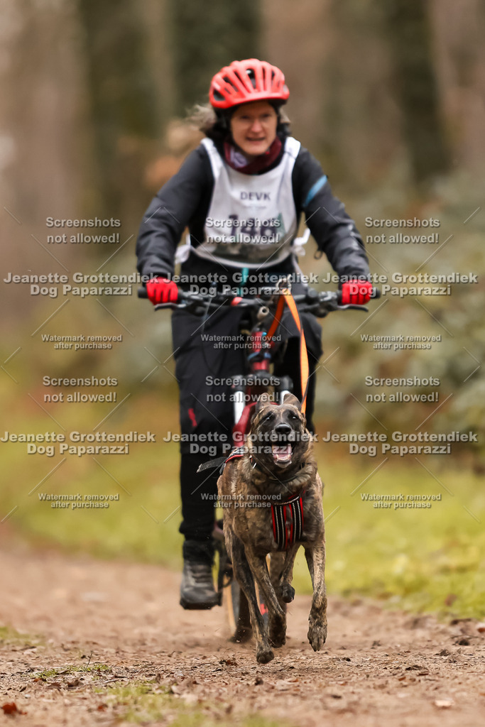 Dog Paparazzi - Speedhunter Mannheim  2025-407 | Dog Paparazzi Jeanette Grottendiek Fotografie & Videografie