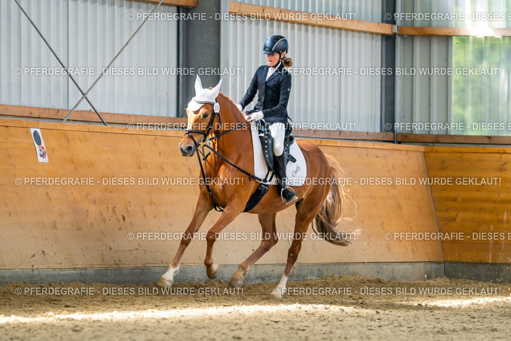 DSC02945 | Pferdegrafie