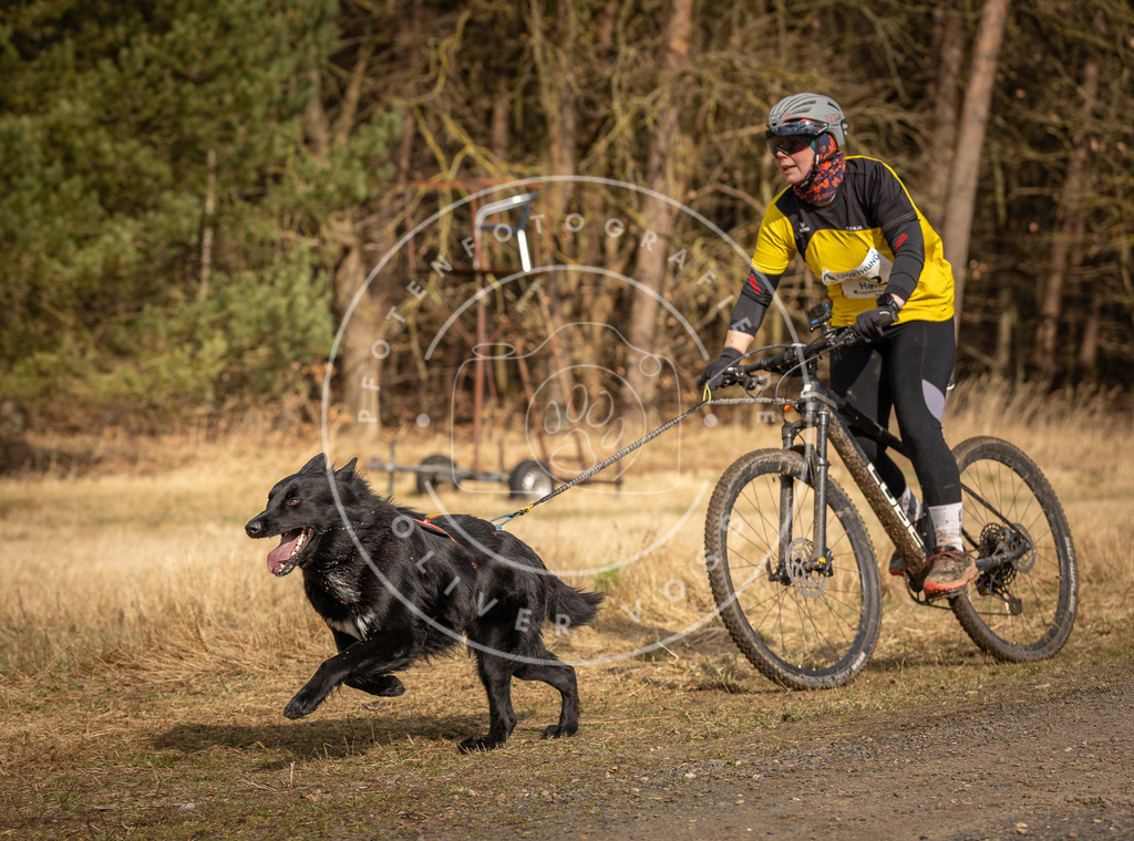 DV3A4268 | Hundefotografie, Tierfotograf, Pfotenfotografie, Fotoshooting Hund, Hunde Portrait, Hundesport, Hundeportraits, Heideshooting, Hunde, Sportfotograf, Hundefotograf, Turnierhundsport, THS,  - Realisiert mit Pictrs.com