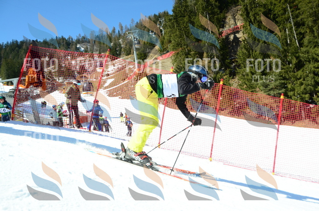 C6766 | holidayphoto