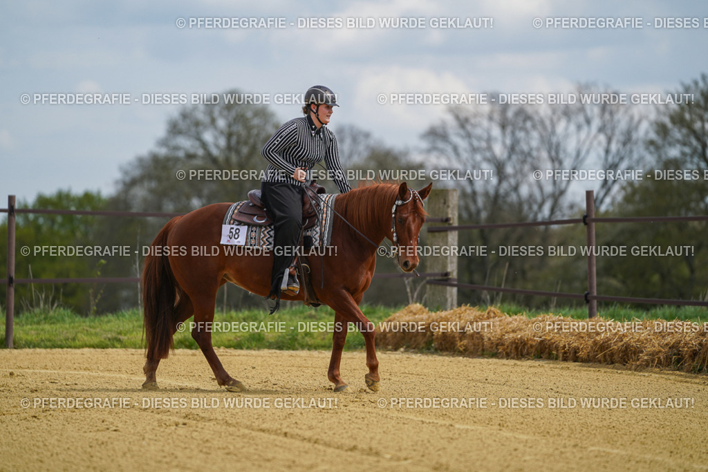 DSC05583 | Pferdegrafie