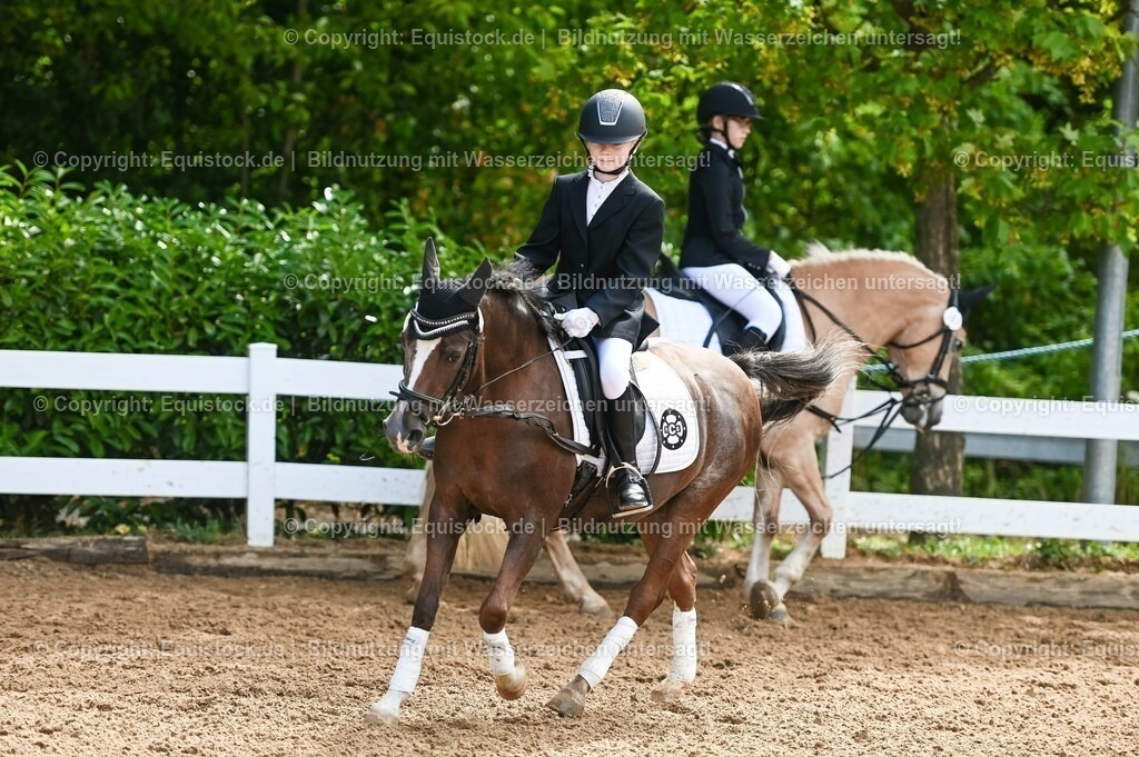 20230716_10-3_Reiter-WB Schritt - Trab - Galopp_0068 | equistock