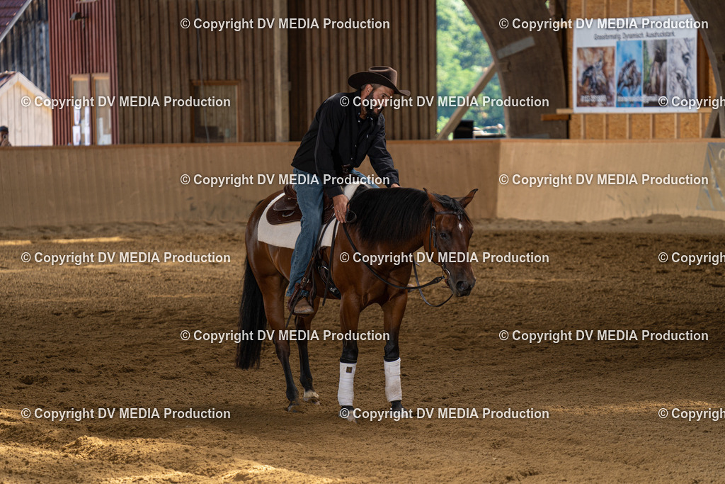 DSC00142 | dv-media-shop - Realisiert mit Pictrs.com