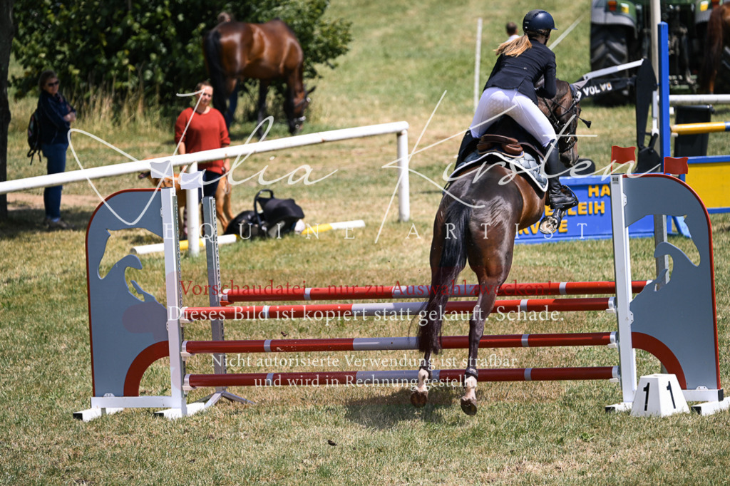 DSC_9697 | Pferde- und Turnierfotografie in Westsachsen. Pferdeportraits, Auftragszeichnungen und intuitive Kunst.