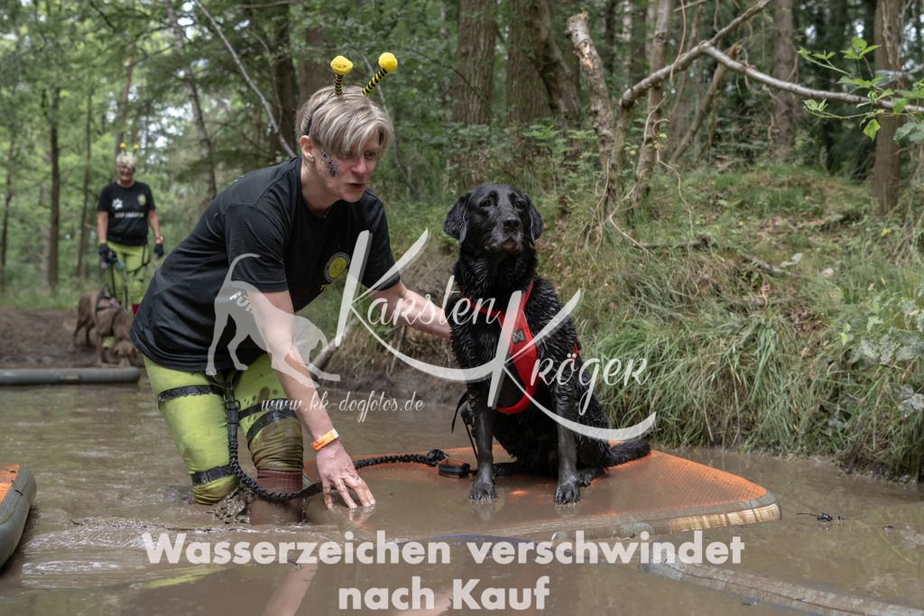 1337_ZZ95031 | kk-dogfotos