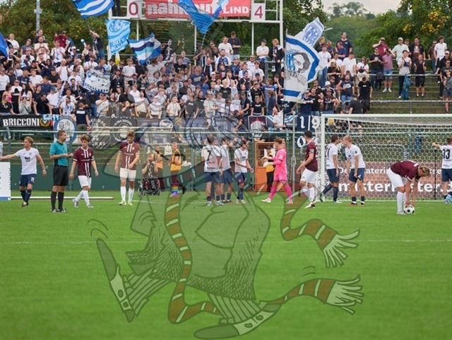 BFC Dynamo vs. SV Babelsberg 03 178 | mythos-online-redaktion