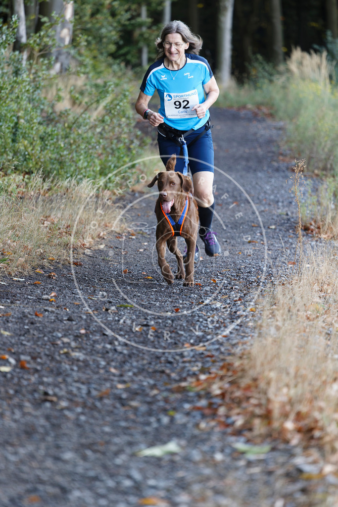 0L8A2178 | Hundefotografie, Tierfotograf, Pfotenfotografie, Fotoshooting Hund, Hunde Portrait, Hundesport, Hundeportraits, Heideshooting, Hunde, Sportfotograf, Hundefotograf, Turnierhundsport, THS,  - Realisiert mit Pictrs.com