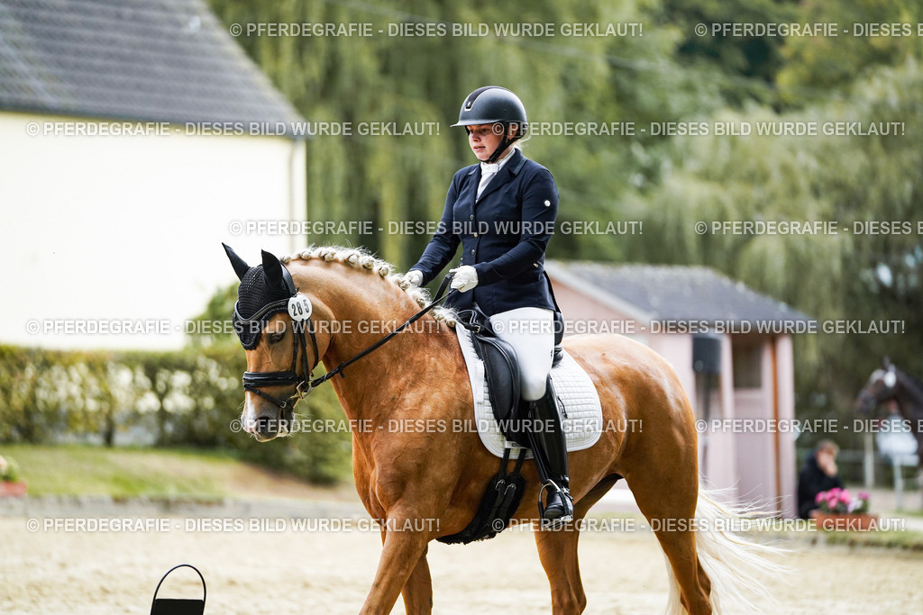 DSC00662 | Pferdegrafie