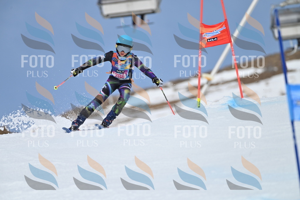 BGV_2559 | holidayphoto