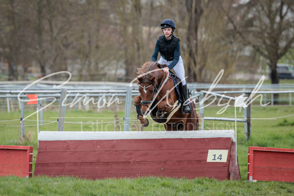20260329-_3LI5424 | Tierfotografie Pferde, Hunde, Katzen, Haustiere.
Turnierfotografie Reitturniere, Reiten, Springreiten, Dressur in Hanau, dem Main-Kinzig-Kreis und dem Rhein-Main- Gebiet um Frankfurt