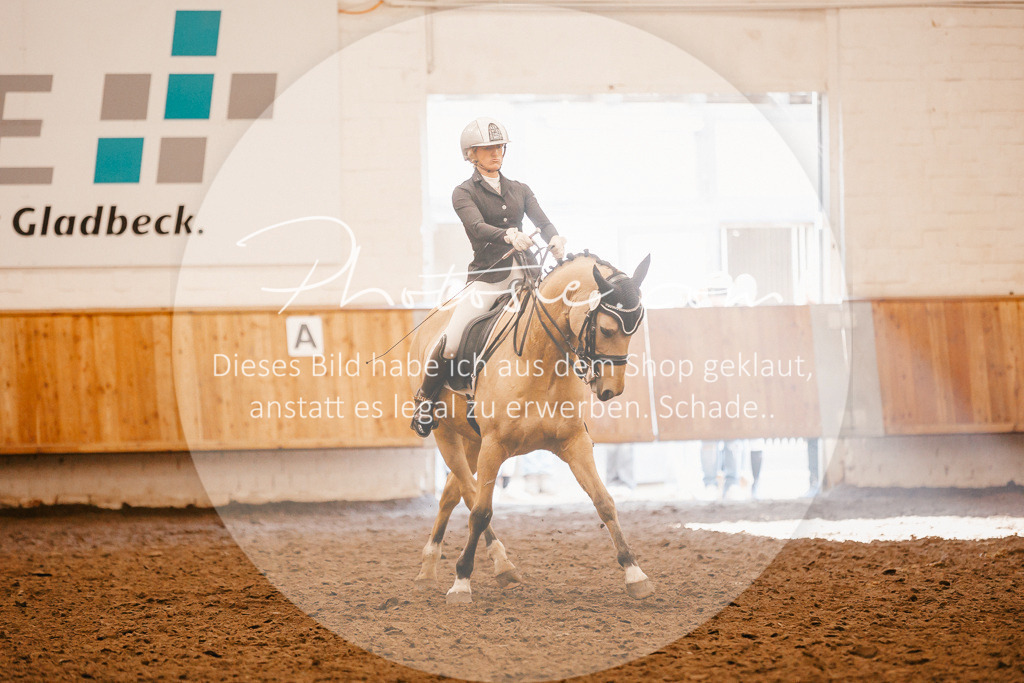 3I6A2302 | Stimmungsvolle Portraits und Reitsportfotografie im Ruhrgebiet und im Münsterland.

Pferdefotografie, Hundefotografie, Tierfotografie, Reportagen, Portraits von Tier und Mensch, Turnierfotografie in Bochum, Recklinghausen, Marl, Haltern am See, Dülmen.. - Realisiert mit Pictrs.com