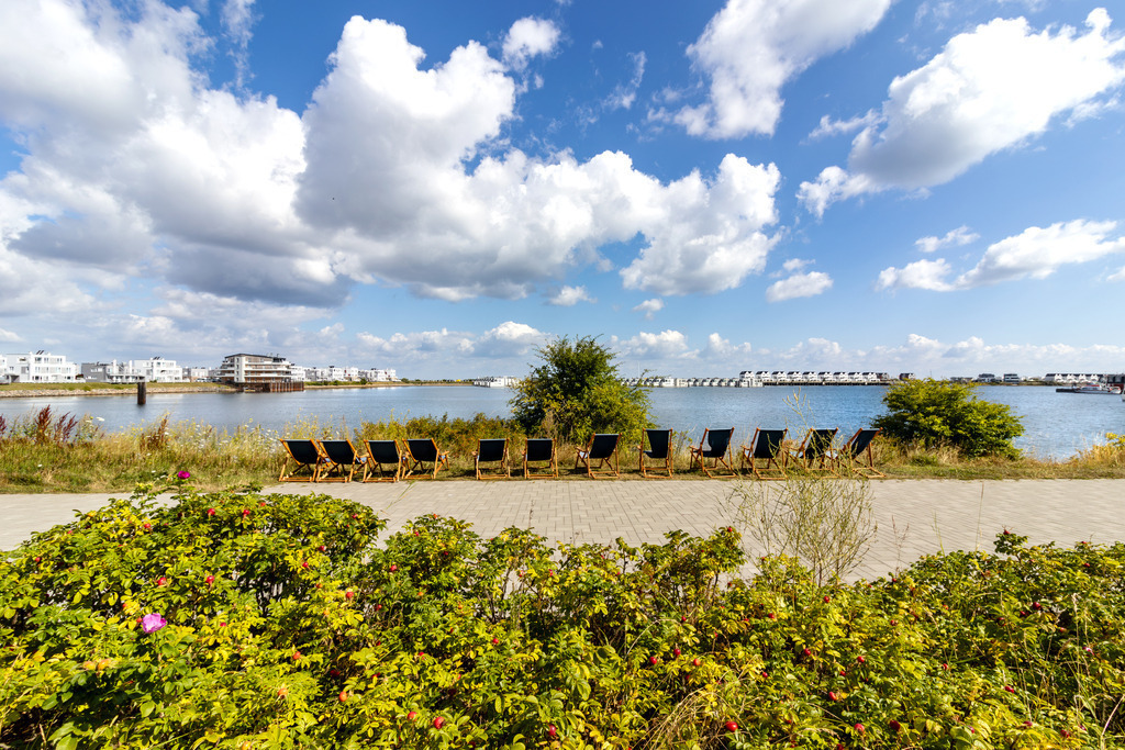 Wandbild: Promenade in Olpenitz | Dieses Wandbild im Querformat zeigt die Promenade in Olpenitz. Im Vordergrund vor der Promenade befinden sich Heckenrosen. Im Uferbereich stehen zahlreiche Liegestühle. Am blauen Himmel sind schöne sommerliche Wolken zu sehen.  - Realisiert mit Pictrs.com