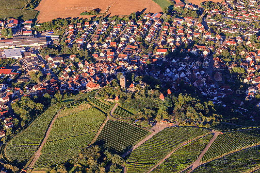 Luftbild: Burgfalknerei im Schloss Hohenbeilstein in Beilstein im Bundesland Baden-Württemberg in Deutschland. – Foto: IMG_093763.jpg vom 23.08.2016 durch Werner Riehm/FLY-FOTO.de – Auflösung des Originals: 5472 x 3648 px – Burgfalknerei Hohenbeilstein 