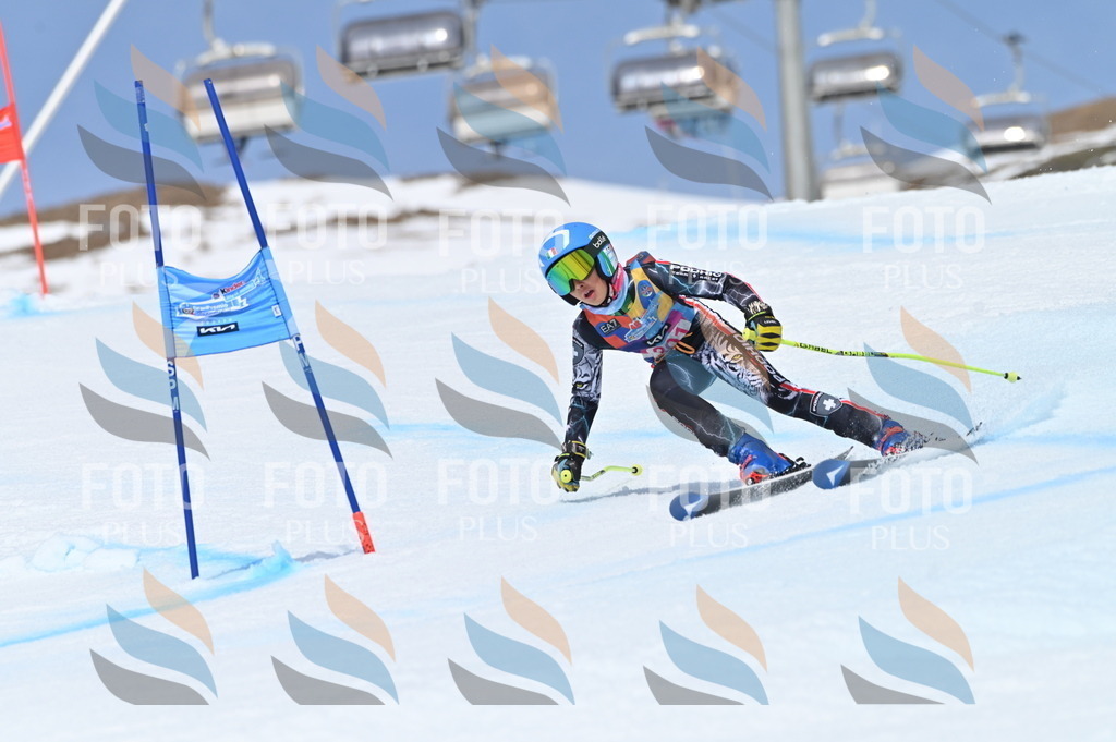 BGV_2797 | holidayphoto