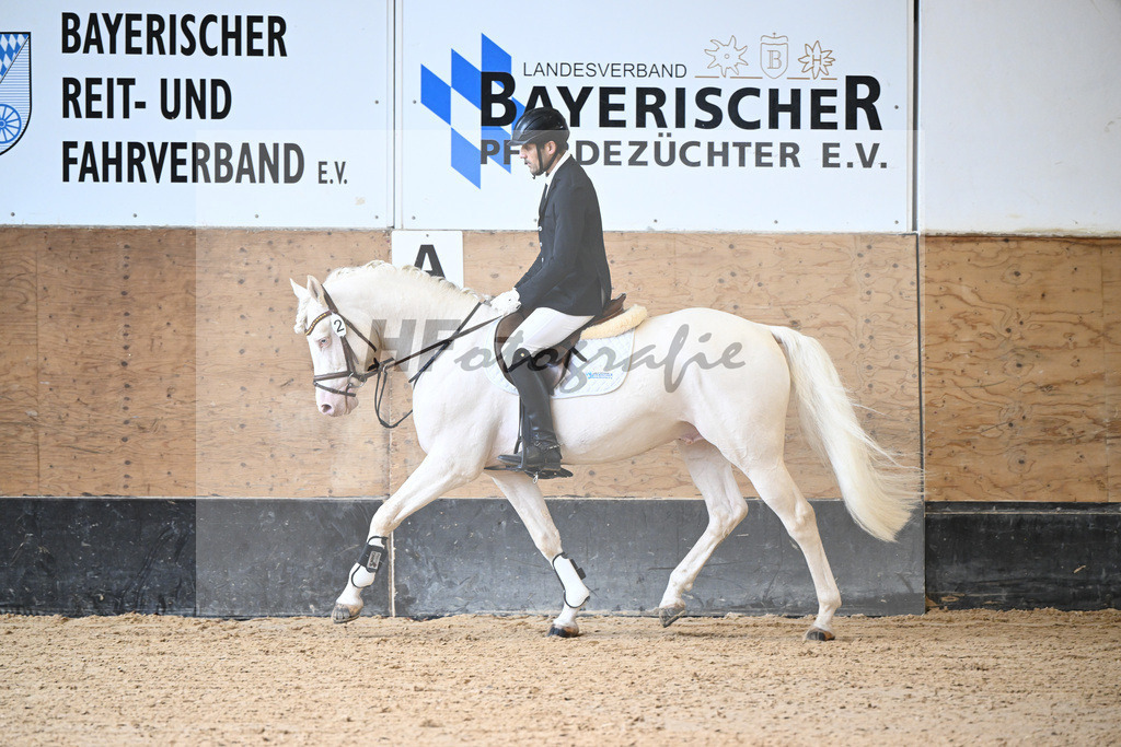 Kat-Nr. 2 Candidus von Nuex_Boettcher_44240479 | hf-fotografie - Realisiert mit Pictrs.com