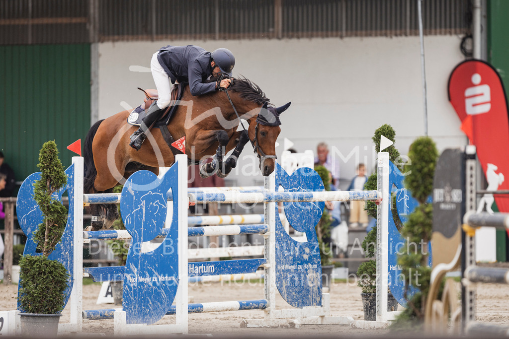 250627_PfSpTa_S1-Spr-533 | Deine schönsten Turniermomente als professionelle Fotos! Entdecke hochwertige Pferdesport-Fotografie im Online-Shop. Jetzt Fotos finden & bestellen!
