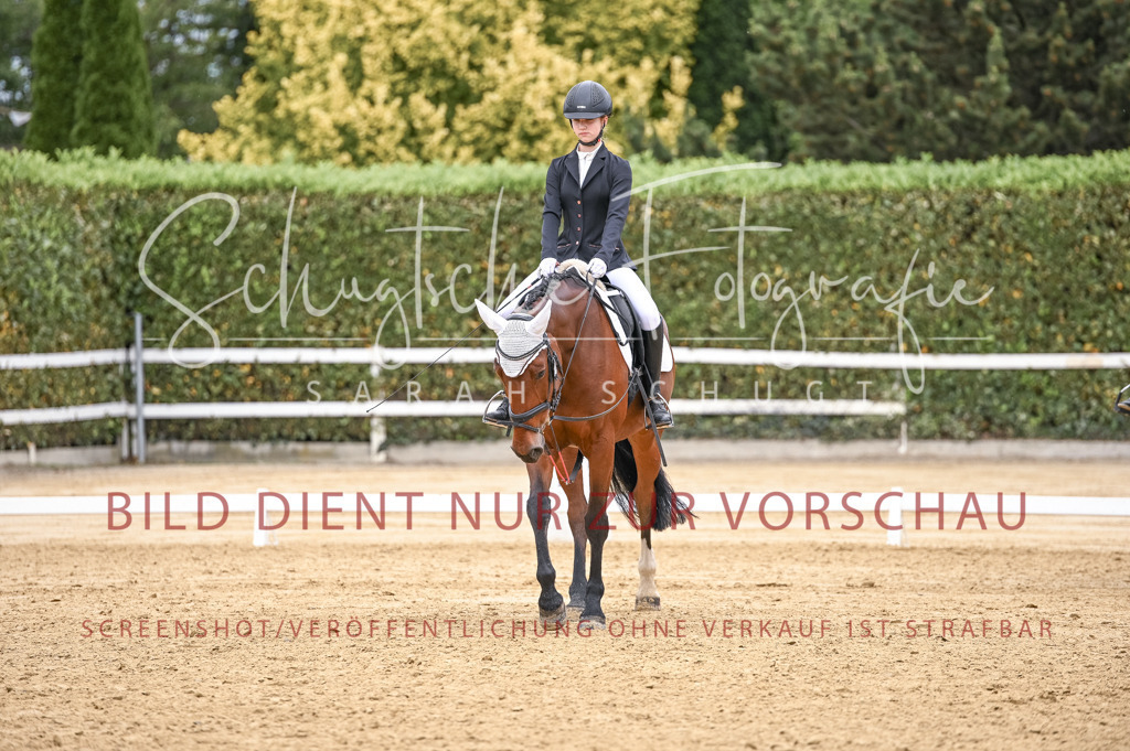 Schugtsche-Aluta25-44.DresssurreiterWB-202 | Schugtsche Fotografie - Realisiert mit Pictrs.com