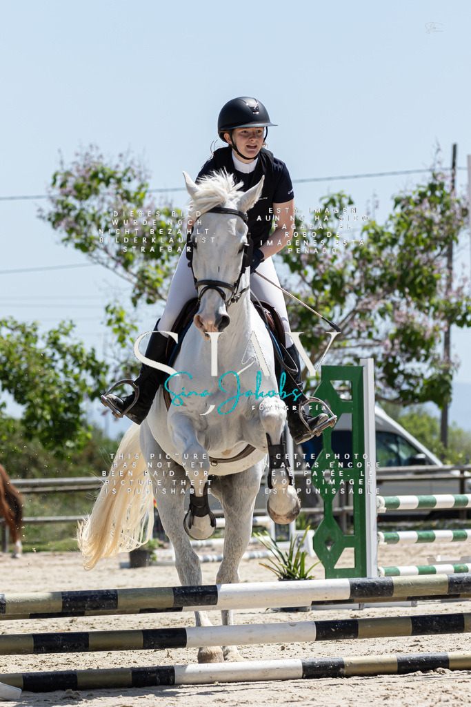 IMG_0263 | s-jay-photography - Realisiert mit Pictrs.com