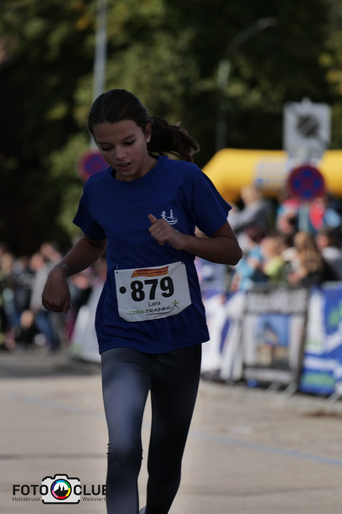 D (431) | Foto Buchgraber