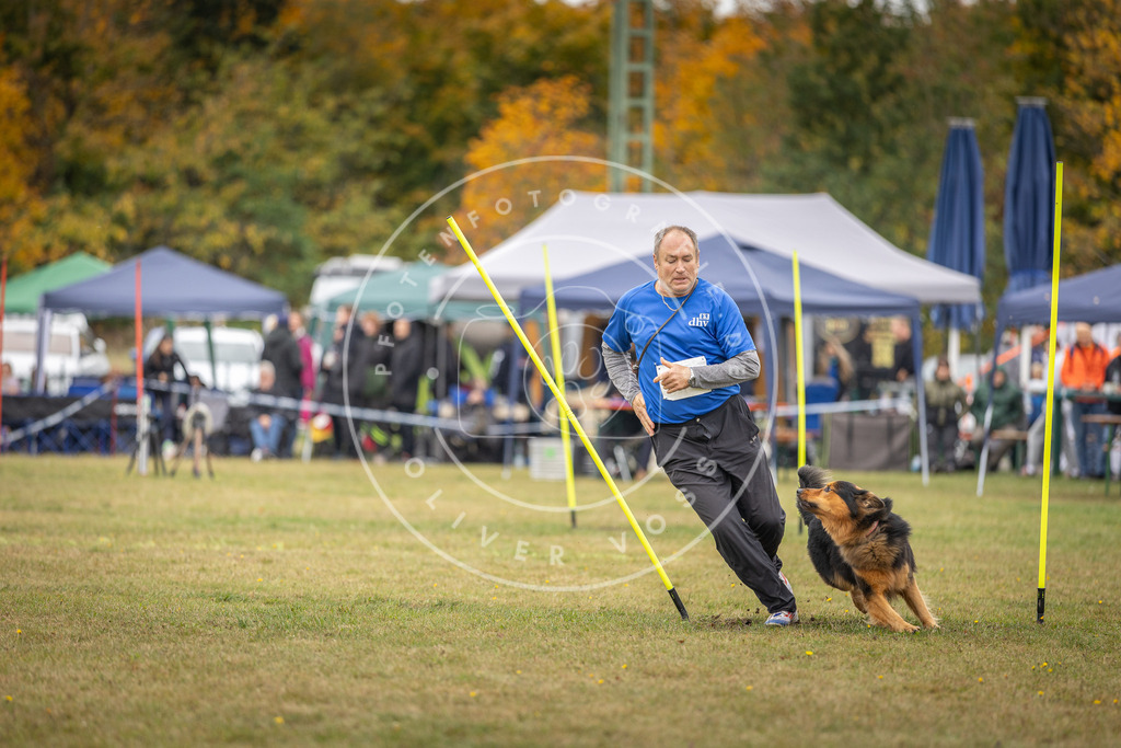 Pfotenfotografie_DV3A6474 | Hundefotografie, Tierfotograf, Pfotenfotografie, Fotoshooting Hund, Hunde Portrait, Hundesport, Hundeportraits, Heideshooting, Hunde, Sportfotograf, Hundefotograf, Turnierhundsport, THS,  - Realisiert mit Pictrs.com